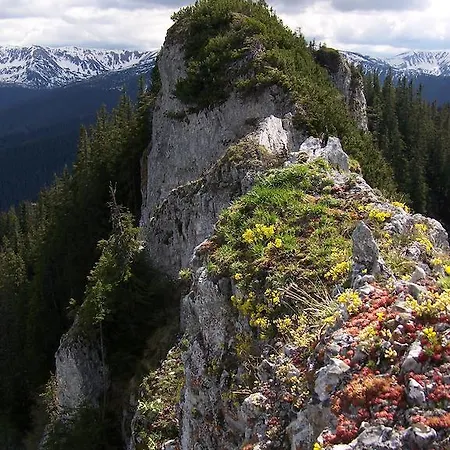 Privat Severka Vendégház